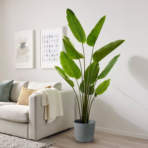 Artificial potted plant, in/outdoor Bird of paradise, 23 cm - Image 2