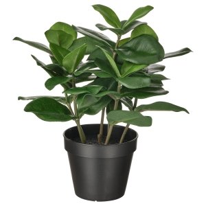 Artificial potted plant, in/outdoor Clusia, 12 cm