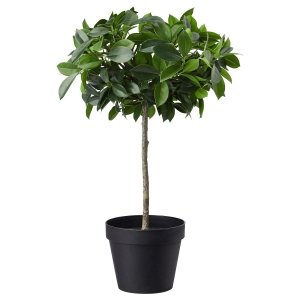 Artificial potted plant, in/outdoor/Weeping fig stem, 12 cm